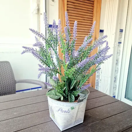 شقة Casa Greta تورّيفيِخا