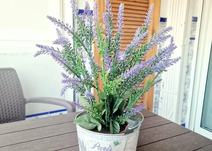 Διαμέρισμα Casa Greta Τορεβιέχα